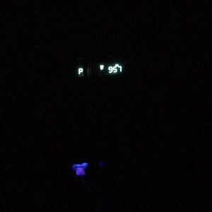 Meet your Posher, Pedro